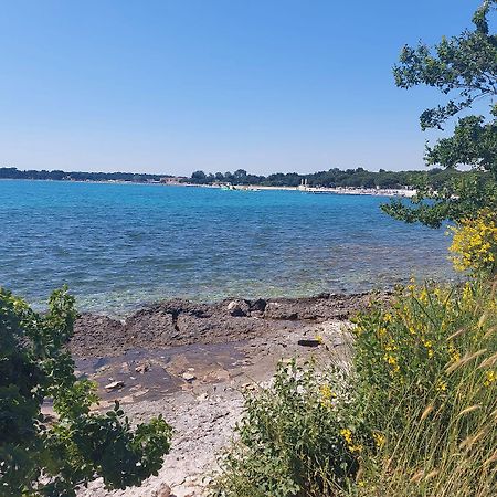 Neu Renovierte Ferienwohnung Mit Klima, Wlan, Terrasse Und Grill Pula Zewnętrze zdjęcie